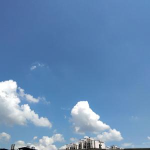 纲手穿比亚尼内射
