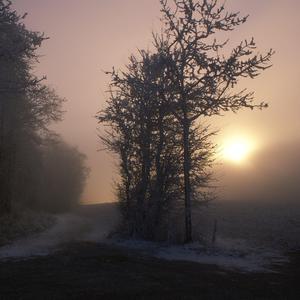 纲手穿比亚尼内射
