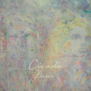 纲手穿比亚尼内射
