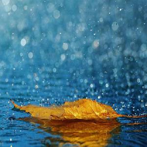 纲手穿比亚尼内射
